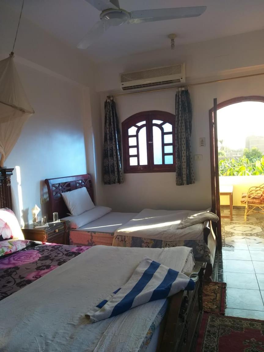 לוקסור One Love Guesthouse & Restaurant מראה חיצוני תמונה